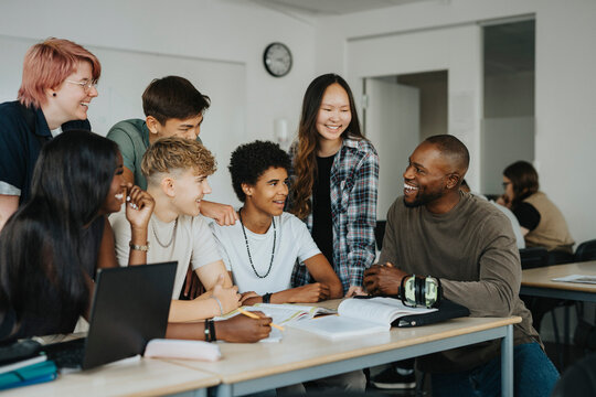 professional python assignment help