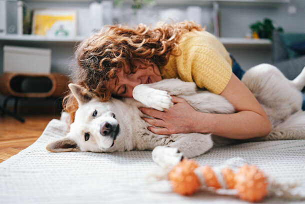 Pet Urine Removal in Fairfax